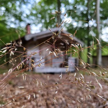 Bjaernhultsgardens Stugor Linderod Εξωτερικό φωτογραφία
